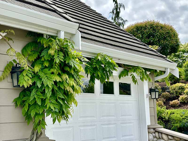 Upgrade your Green Lake gutter in WA near 98103